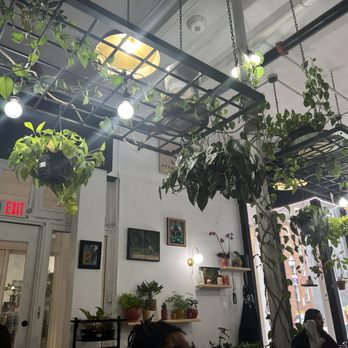 Stem and Vine - Nurseries & Gardening Near Me - Baltimore, Maryland