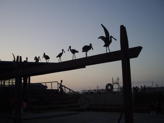 黑面琵鷺生態展示館 by null