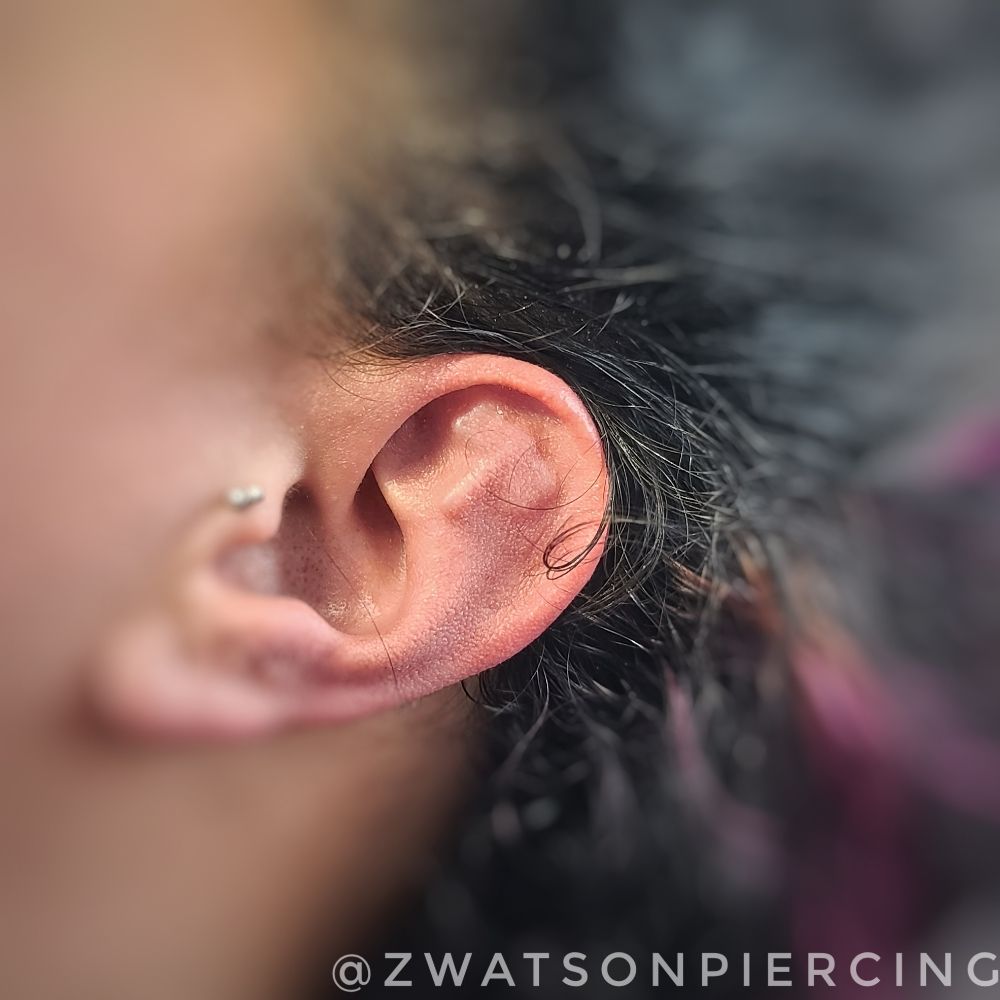 GENISYS BODY ARTS 418 Photos & 47 Reviews 422 Broad St, Sewickley