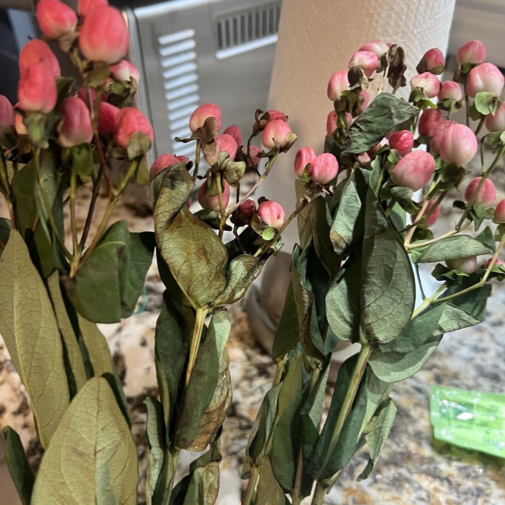 Apple Farm - Wilted flowers mixed in. - Grocery Near Me - Croton-on-Hudson, New York