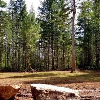 Jareds Tree Service - Tree Services Near Me - Shelton, Washington Jareds Tree Service - Tree Services Near Me - Shelton, Washington