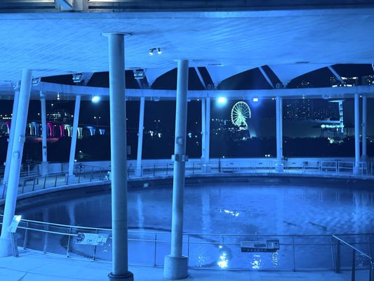 Patricia and Phillip Frost Art Museum by null