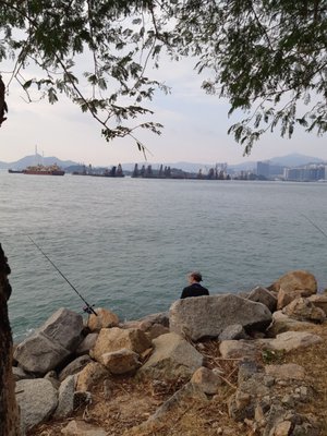 Tsim Sha Tsui Promenade by null