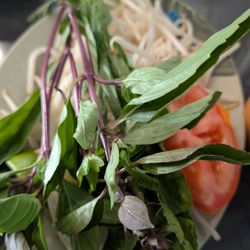 Basil, Jalapeno and Beansprouts