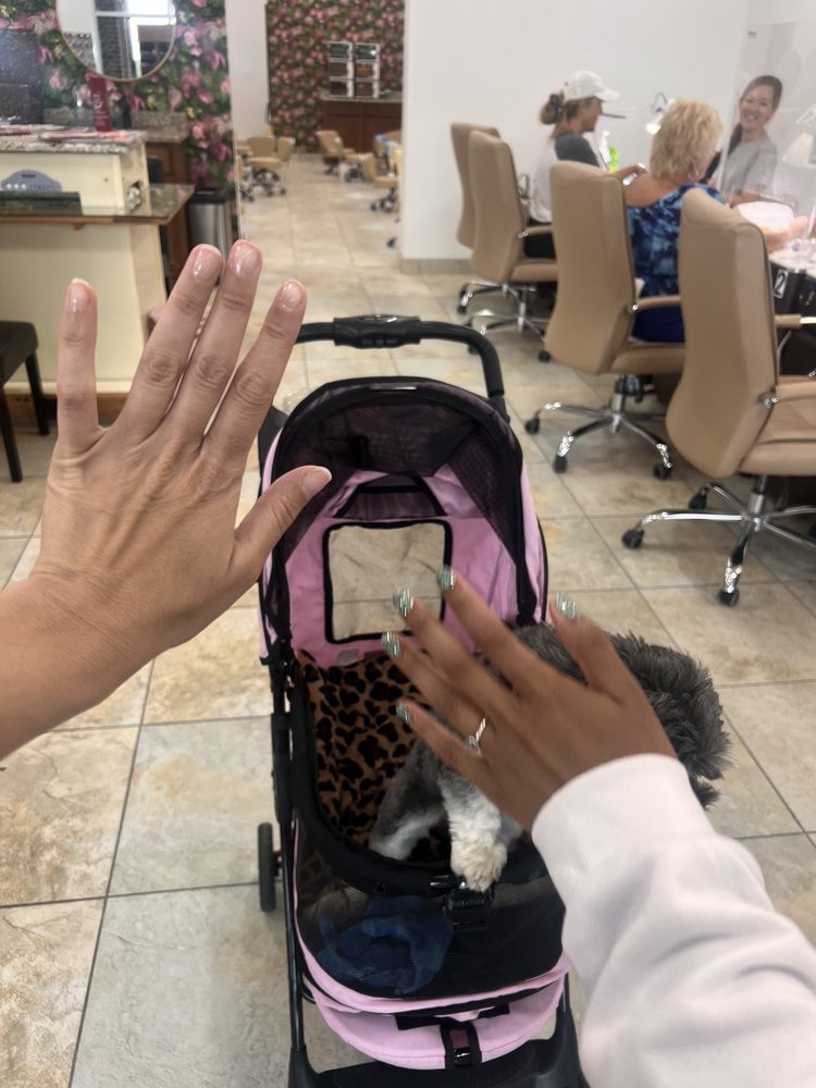 NAILS & BEYOND 2 14 Reviews 723 Kristine Way, The Villages, Florida Nail Salons Phone