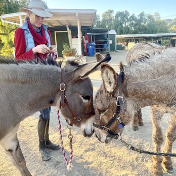 Courtship Ranch - Horseback Riding Near Me - Sylmar, California