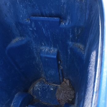 Blue Diamond Pressure Wash - Dirty garbage bin - Pressure Washers Near Me - Las Vegas, Nevada