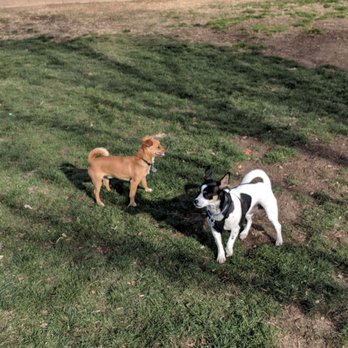 Forrest E Hull Park - Dog Parks Near Me - Lancaster, California Forrest E Hull Park - Dog Parks Near Me - Lancaster, California