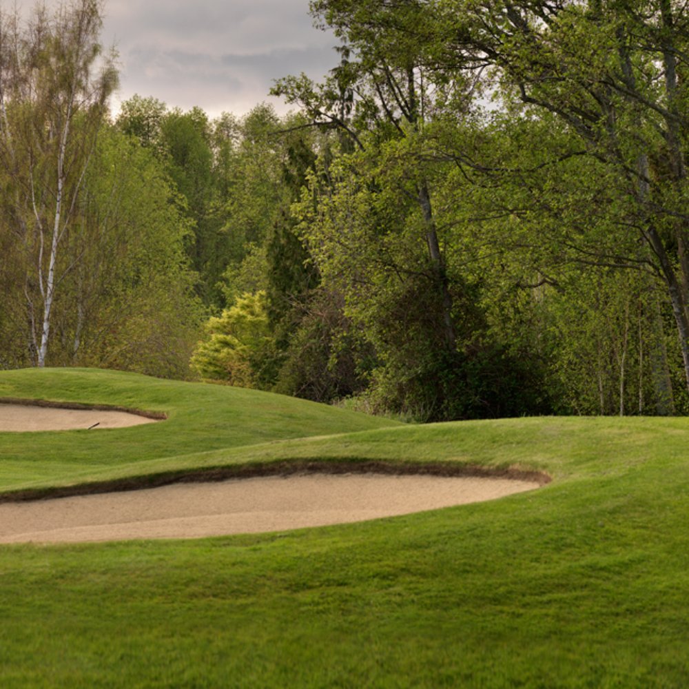 CHIKO　SCHOOL -IKEBANA CARD BOOK- TOP 10 BEST Public Golf Courses near Sequim, WA - Updated