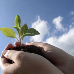 California Community Credit Union - Come Grow With Us!