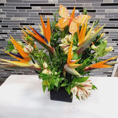 Floral Arrangements - You can expect great customer service, fresh flower arrangements, beautiful floral designs, plants, gift baskets and much more. Make Millennial Florist your first choice for flowers. Floral Arrangements - You can expect great customer service, fresh flower arrangements, beautiful floral designs, plants, gift baskets and much more. Make Millennial Florist your first choice for flowers.