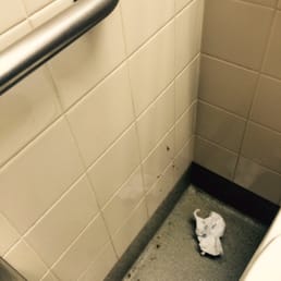 EXPLOSIVE FECAL MATTER ON THE WALL. I guess the used Loto ticket on the floor made up for them not having TP.