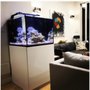 Photo of Creative Aquarium Nation