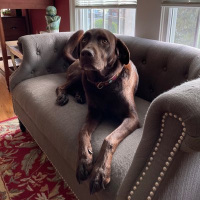 Inn at Huntingfield Creek and Getaway Cottages by null