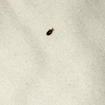 Hotel Posada del Sol - Hotels Near Me - Mexicali, BCN