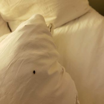 SpringHill Suites by Marriott Bakersfield - Hotels Near Me - Bakersfield, California SpringHill Suites by Marriott Bakersfield - Hotels Near Me - Bakersfield, California
