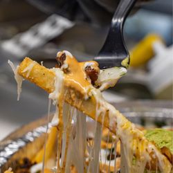 Asada Fries