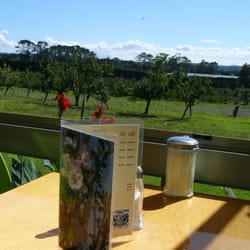 Blossoms cafe - Nice Autumn view with fresh air whilst you eat
