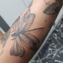 Edge Tattoo Estúdio - Fine line