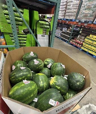 Costco Wholesale by null