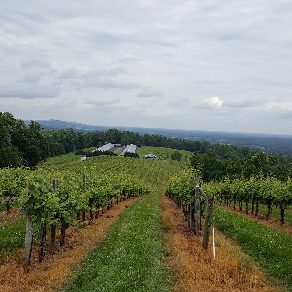 Honah Lee Vineyard - View of Vineyard from Above - Venues & Event Spaces Near Me - Gordonsville, Virginia Honah Lee Vineyard - View of Vineyard from Above - Venues & Event Spaces Near Me - Gordonsville, Virginia
