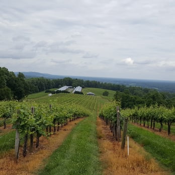 Honah Lee Vineyard - View of Vineyard from Above - Venues & Event Spaces Near Me - Gordonsville, Virginia Honah Lee Vineyard - View of Vineyard from Above - Venues & Event Spaces Near Me - Gordonsville, Virginia