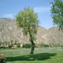 Pga West Master Assn