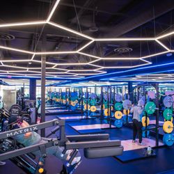 Fitness 19 - Unlock access to The Vault, our exclusive workout room with top-tier, specialized equipment.