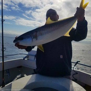 Four Reel Sportfishing - Fishing Near Me - Long Beach, California Four Reel Sportfishing - Fishing Near Me - Long Beach, California