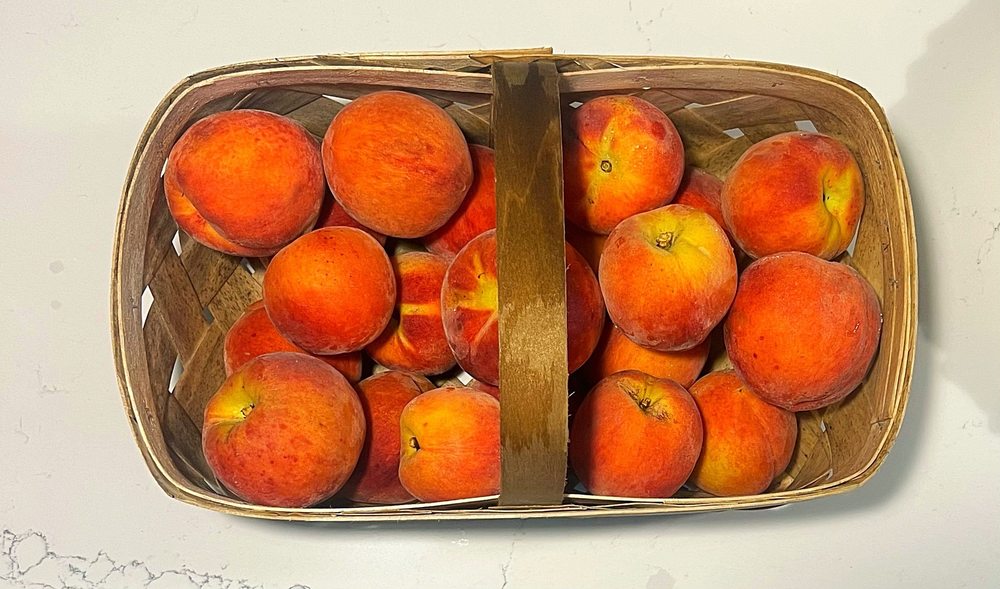 Shuler Peach Logo
