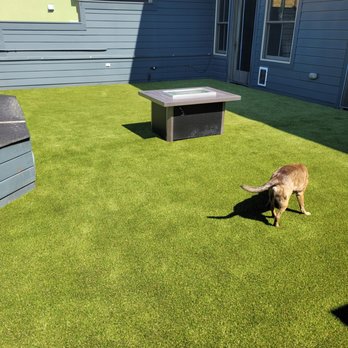 RockSolid Turf and Landscape - Artificial Turf Near Me - Denver, Colorado