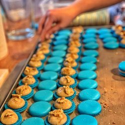 Bakeologists - Cookie Monster
