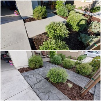 Bella Vista Landscape - Landscaping Near Me