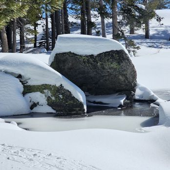 Pacific Crest Trail - At Flora Lake - Hiking Near Me - Truckee, California Pacific Crest Trail - At Flora Lake - Hiking Near Me - Truckee, California