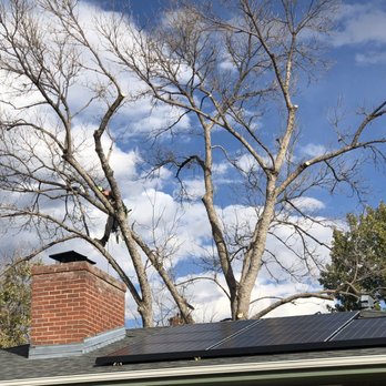 Beetle Busters LLC - Pest Control Near Me