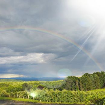 Quartz Rock Vineyard - Rainbow view - Wineries Near Me - Marlboro, New York Quartz Rock Vineyard - Rainbow view - Wineries Near Me - Marlboro, New York
