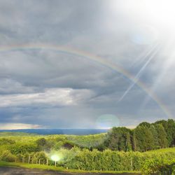 Quartz Rock Vineyard - Rainbow view