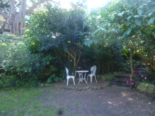 Wendy Whiteley's Secret Garden by null