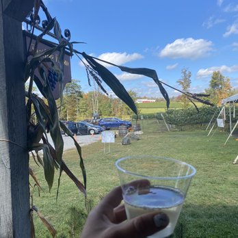 Sunset Meadow Vineyards - Beautiful September day! - Wine Tasting Room Near Me - Goshen, Connecticut Sunset Meadow Vineyards - Beautiful September day! - Wine Tasting Room Near Me - Goshen, Connecticut