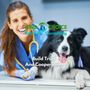 Photo of Kind Choice Behavior Consulting