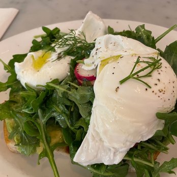 Tatte Bakery & Cafe - Avocado Tartine. - Cafes Near Me - Boston, Massachusetts Tatte Bakery & Cafe - Avocado Tartine. - Cafes Near Me - Boston, Massachusetts