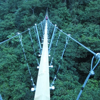 Toroverde - The last bridge! - Ziplining Near Me - Orocovis, Puerto Rico Toroverde - The last bridge! - Ziplining Near Me - Orocovis, Puerto Rico