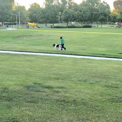 Paloma Del Sol Assn - Corte Cabrera Park and a Young Man walking his dog.
