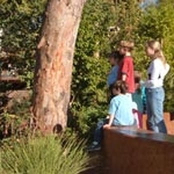 Phoenix Zoo - Zoos Near Me - Phoenix, Arizona