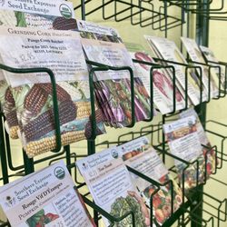 Four Seasons Nursery - Seeds