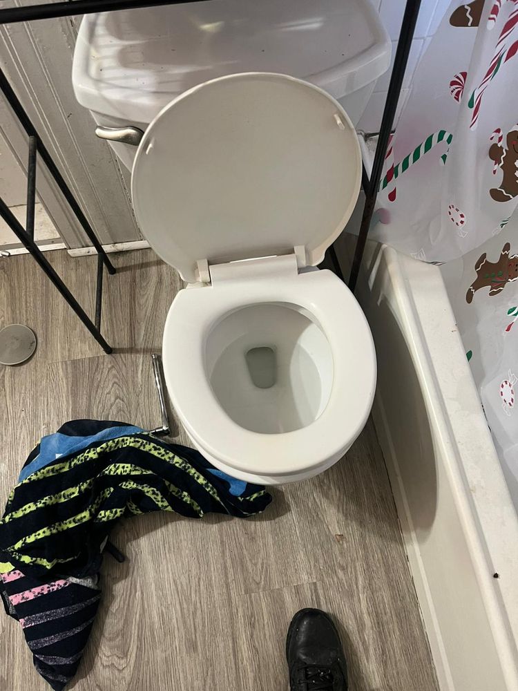 Slide of Master Rooter