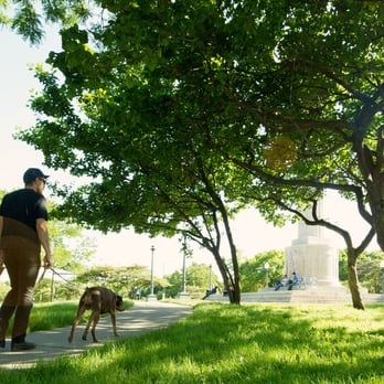 Windy City Paws - Dog walking in Logan Square - Dog Walkers Near Me - Chicago, Illinois Windy City Paws - Dog walking in Logan Square - Dog Walkers Near Me - Chicago, Illinois