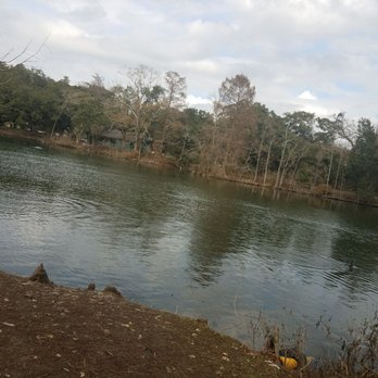Audubon Park - Beautiful enjoying the ducks around the pond! - Parks Near Me - New Orleans, Louisiana
