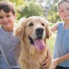Alpine Veterinary Hospital gift card