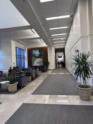Northwestern Memorial Hospital by null